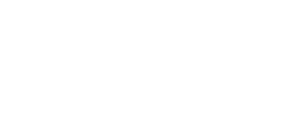 HILLVIEW TOURS & TRAVELS™ logo