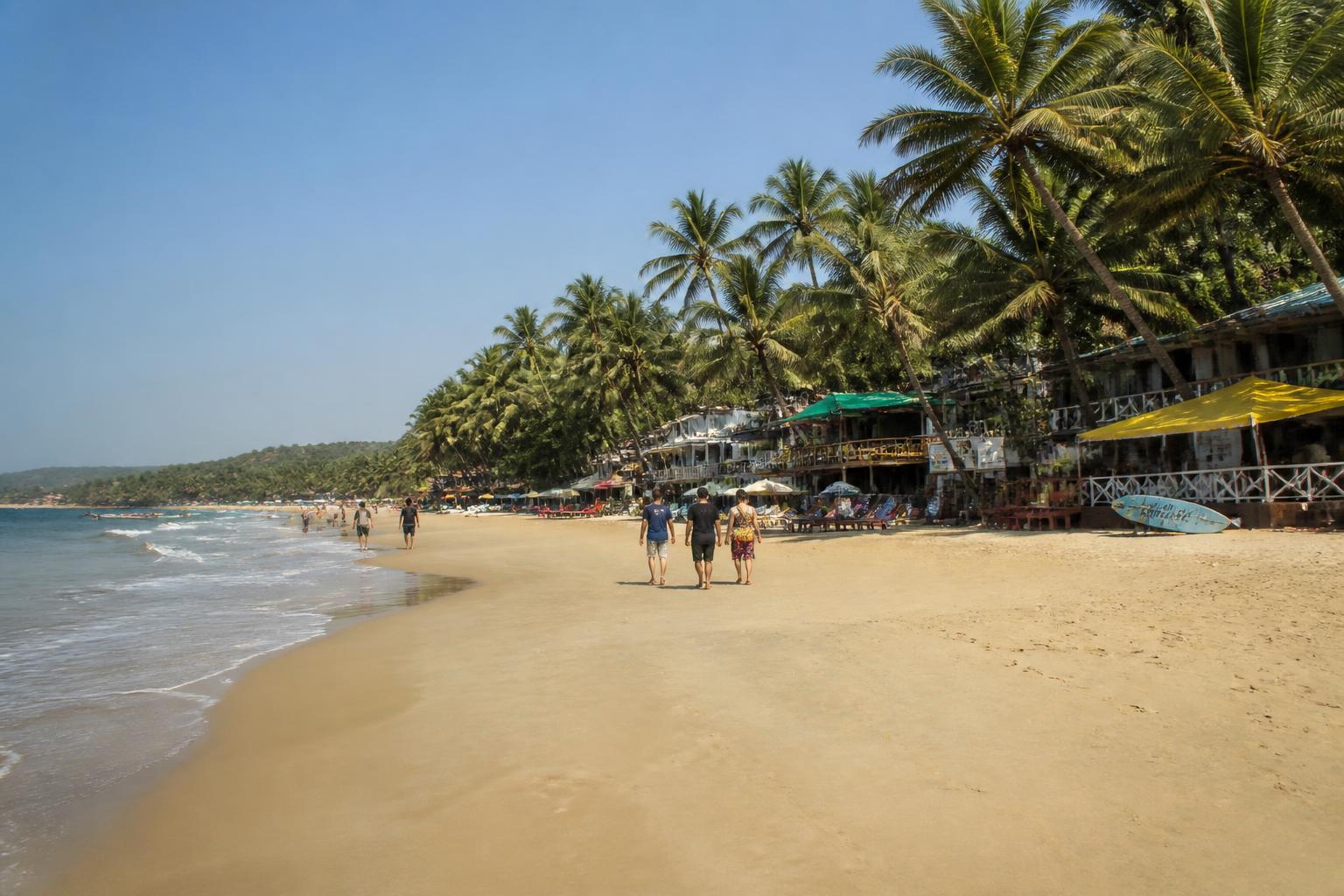 Palm-lined beach and sunset waves in Goa