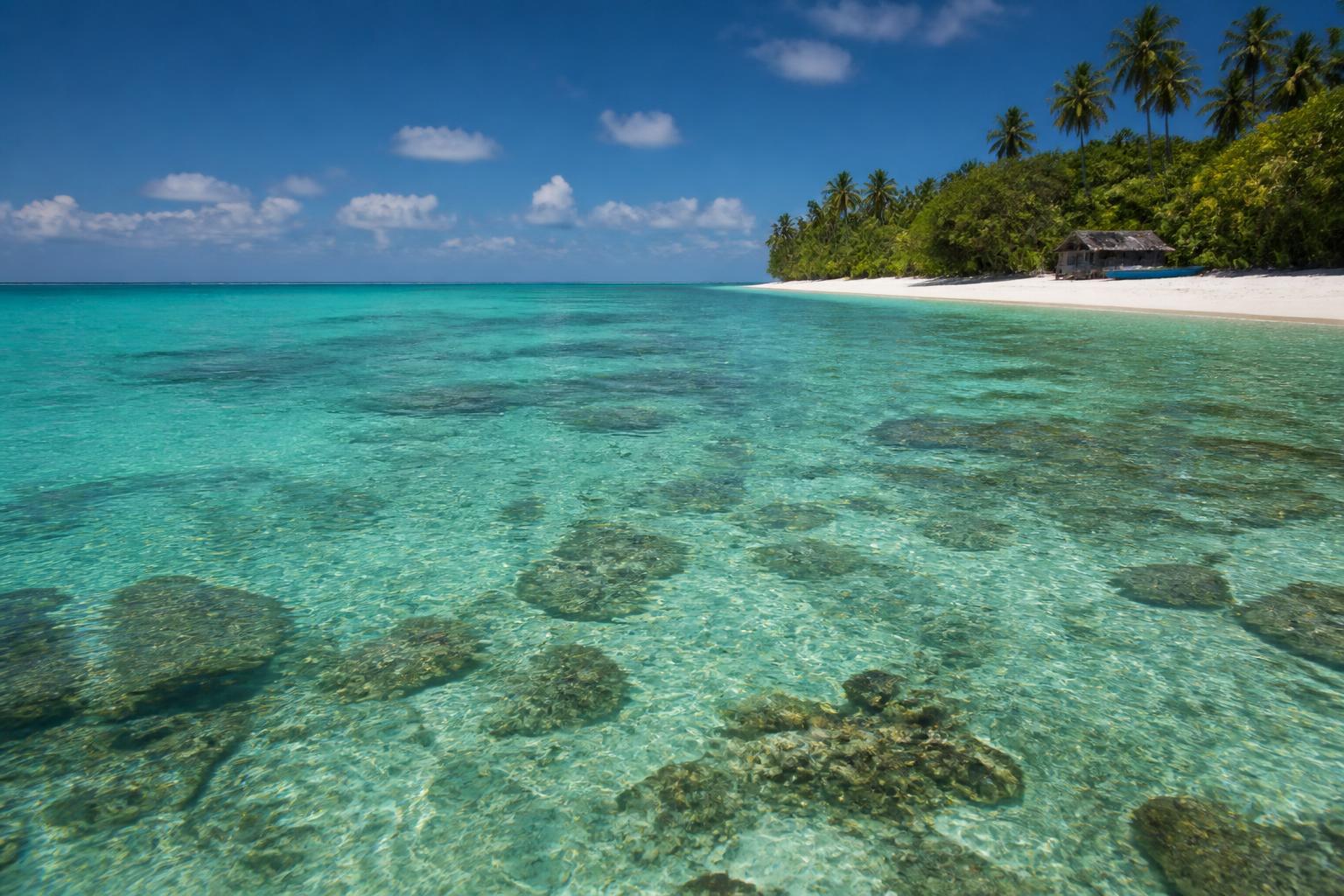 Turquoise lagoon and palm-covered island in Lakshadweep from above