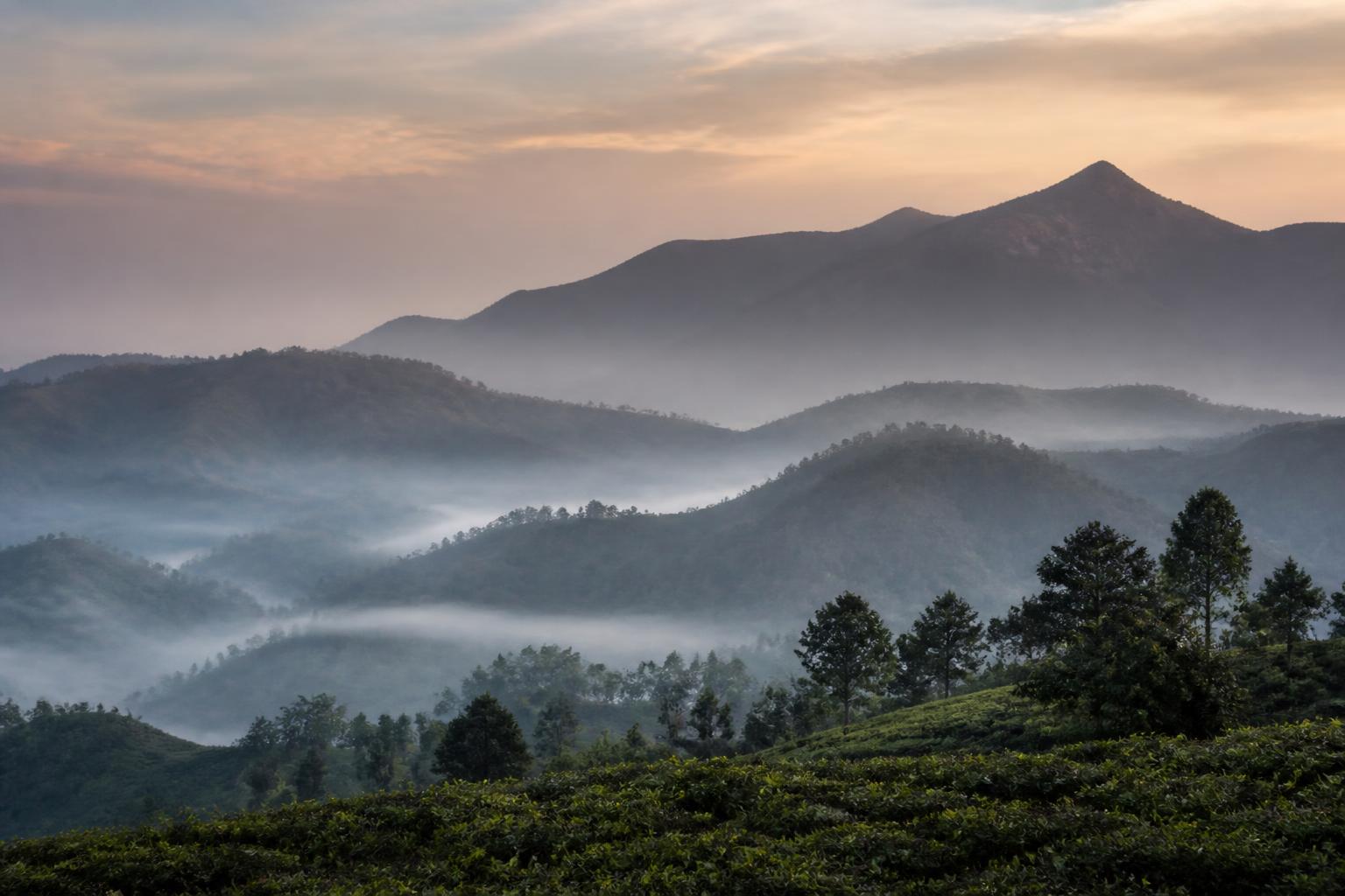 Munnar — Misty rolling tea plantation hills with a winding road in Munnar, Kerala