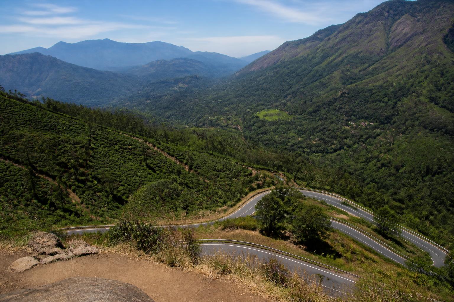 Munnar — Misty rolling tea plantation hills with a winding road in Munnar, Kerala
