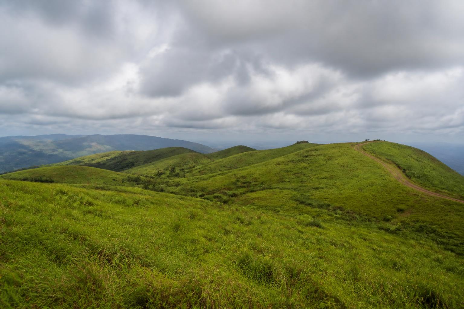 Vagamon — Green rolling meadow hills with pine forest and low cloud in Vagamon, Kerala