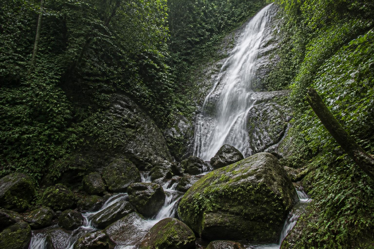 Wayanad — photo 2